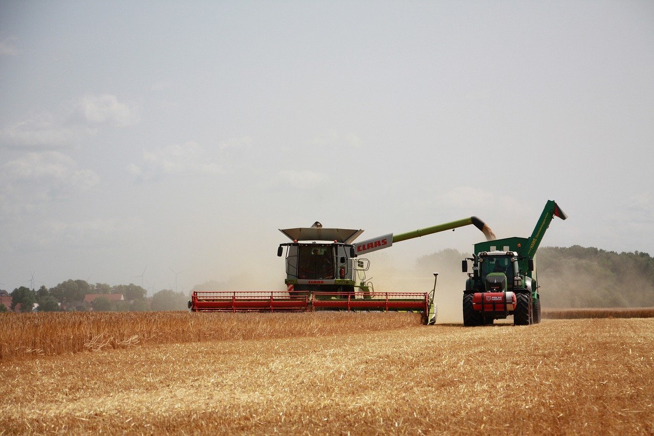 harvest, agriculture, summer-8192037.jpg